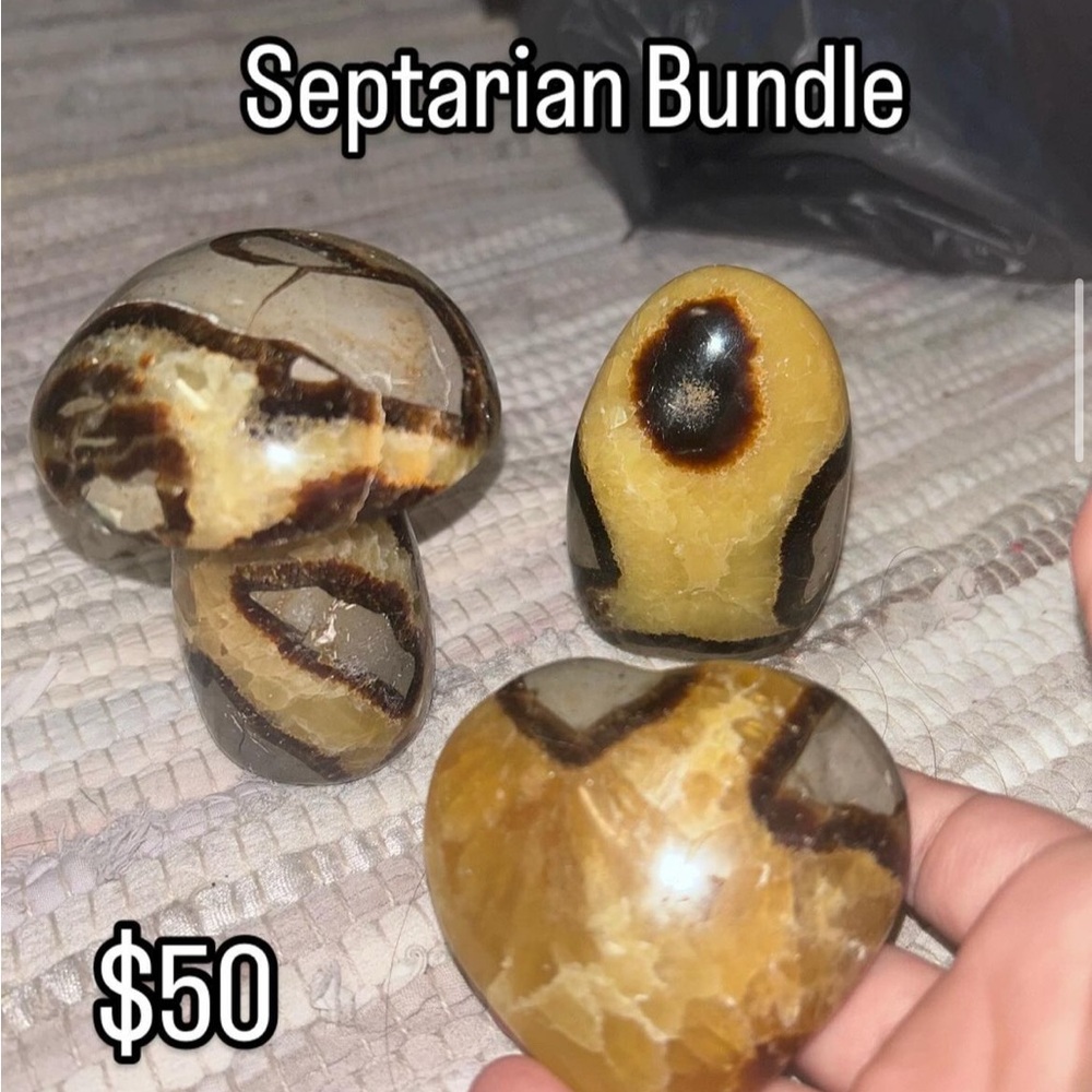 Brown and Yellow Septarian Stone Set